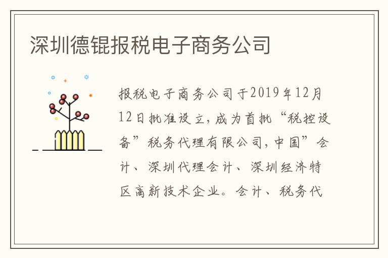 深圳德錕報(bào)稅電子商務(wù)公司