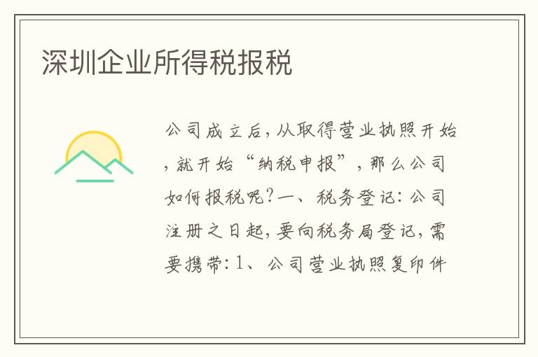深圳企業(yè)所得稅報(bào)稅