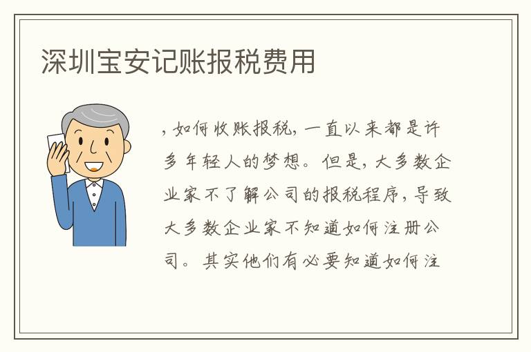深圳寶安記賬報稅費用
