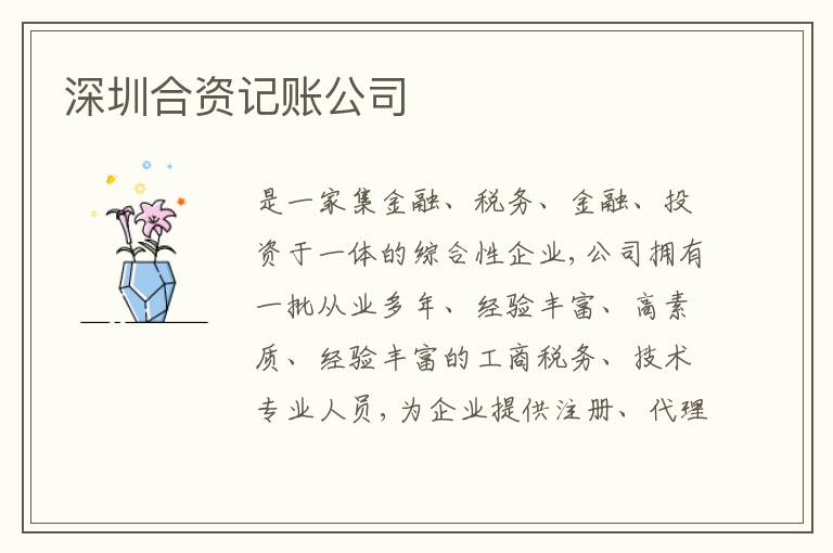 深圳合資記賬公司
