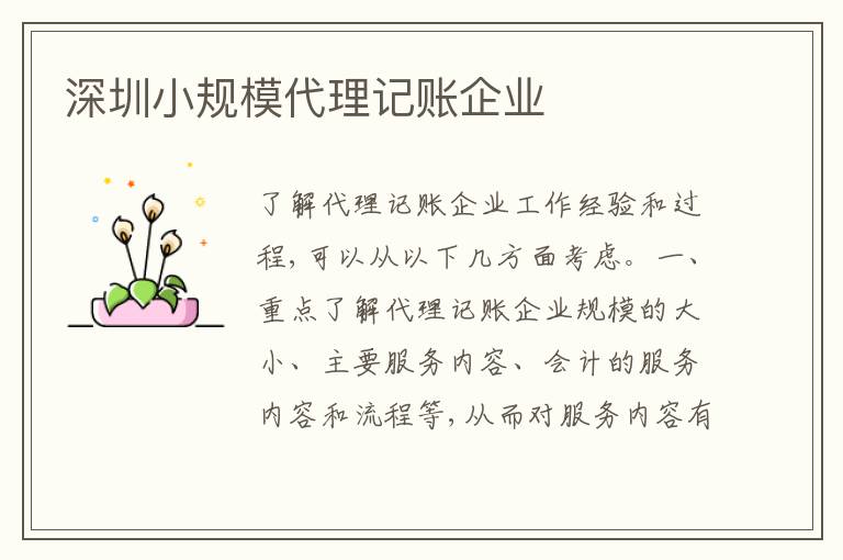 深圳小規(guī)模代理記賬企業(yè)