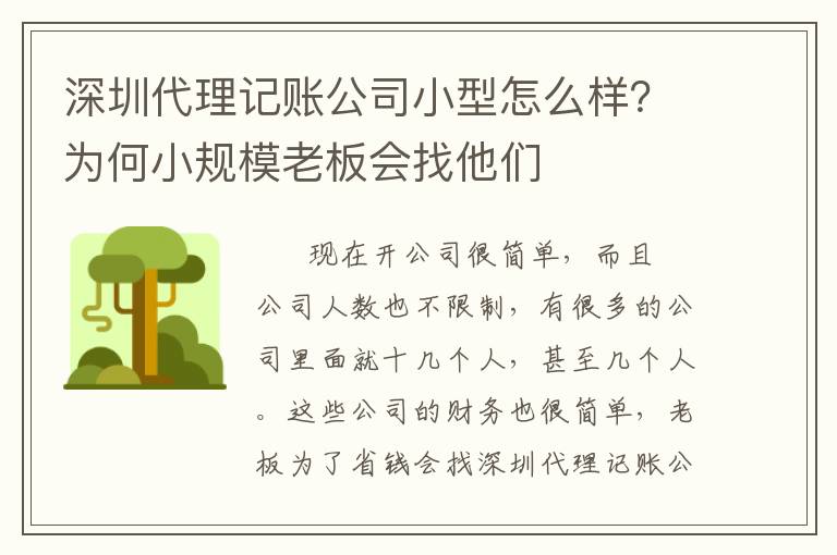 深圳代理記賬公司小型怎么樣？為何小規(guī)模老板會(huì)找他們