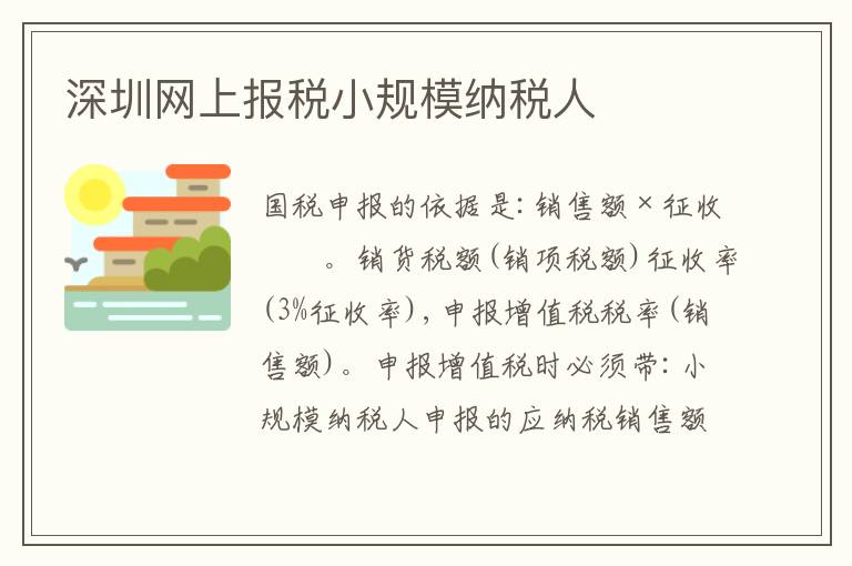 深圳網(wǎng)上報稅小規(guī)模納稅人