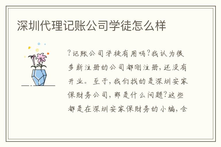 深圳代理記賬公司學(xué)徒怎么樣