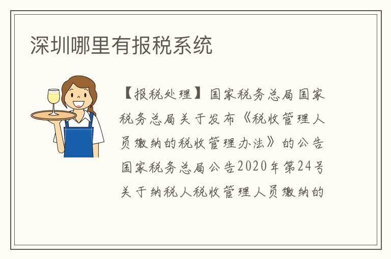 深圳哪里有報稅系統(tǒng)