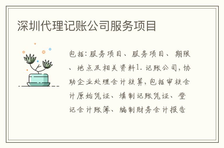 深圳代理記賬公司服務項目