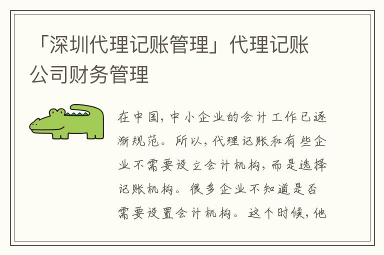 「深圳代理記賬管理」代理記賬公司財(cái)務(wù)管理