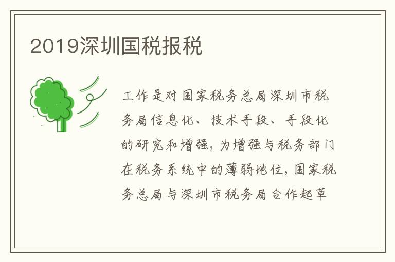 2019深圳國稅報稅