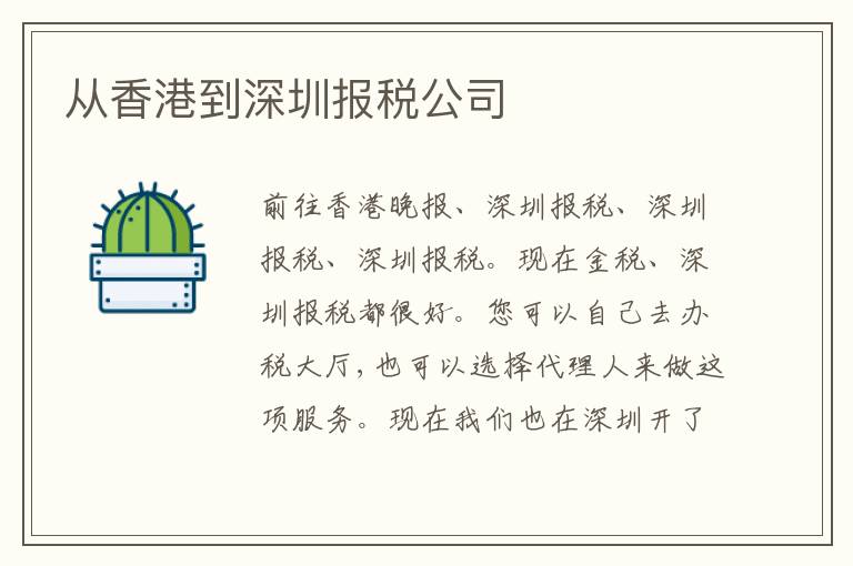 從香港到深圳報稅公司