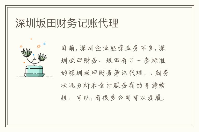 深圳坂田財(cái)務(wù)記賬代理