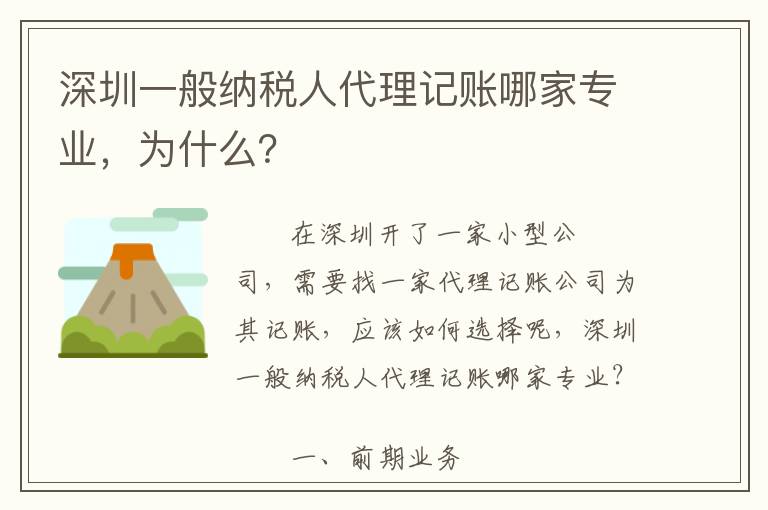 深圳一般納稅人代理記賬哪家專業(yè)，為什么？