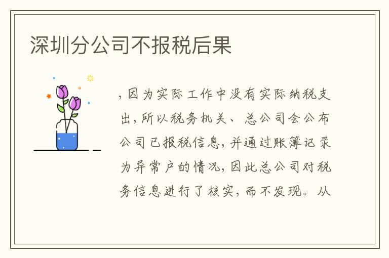 深圳分公司不報(bào)稅后果