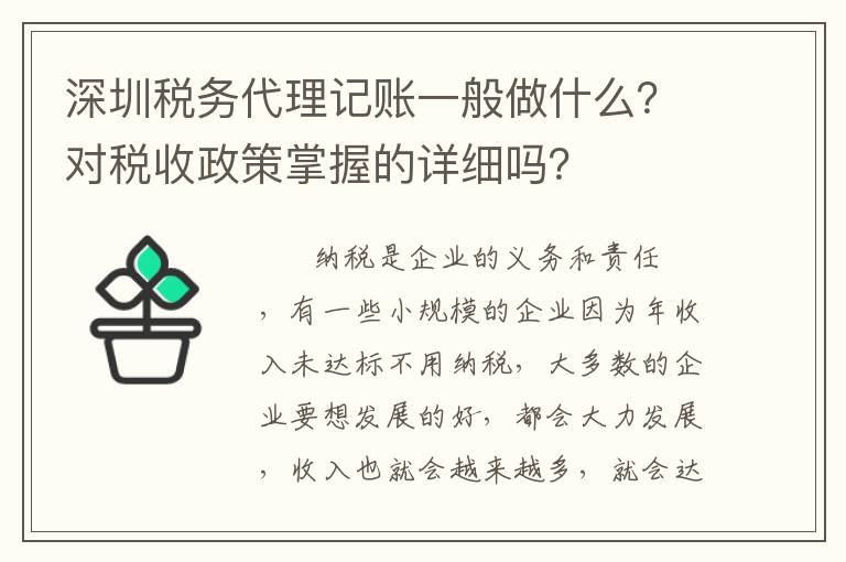 深圳稅務(wù)代理記賬一般做什么？對稅收政策掌握的詳細(xì)嗎？
