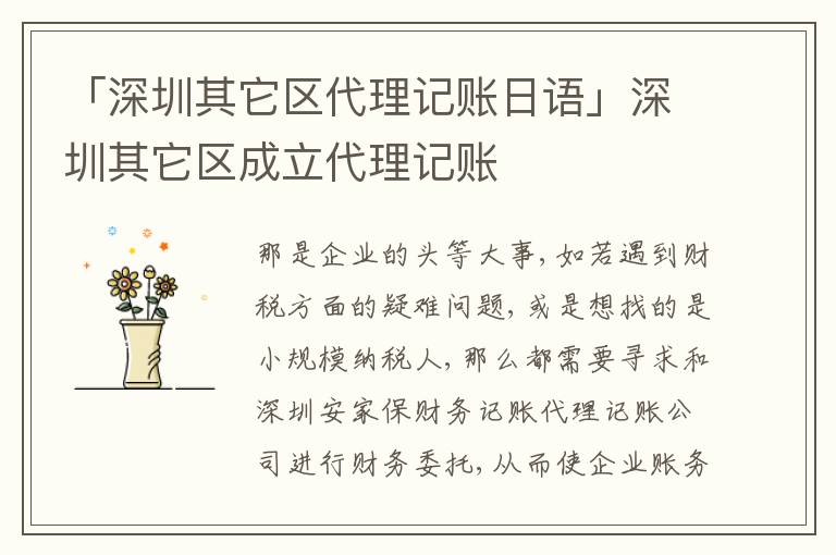 「深圳其它區(qū)代理記賬日語」深圳其它區(qū)成立代理記賬