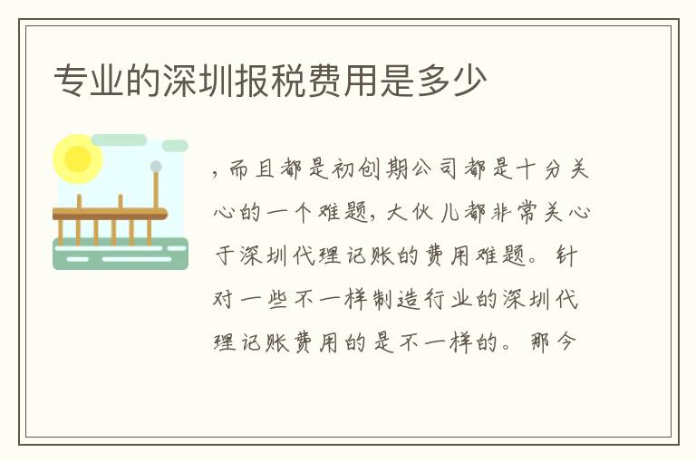 專業(yè)的深圳報(bào)稅費(fèi)用是多少