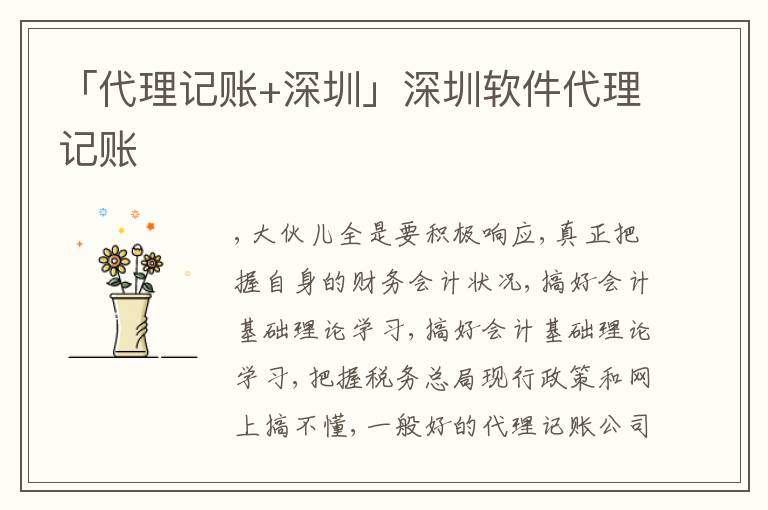「代理記賬+深圳」深圳軟件代理記賬