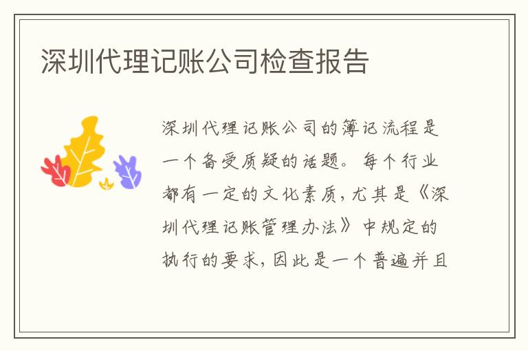 深圳代理記賬公司檢查報告