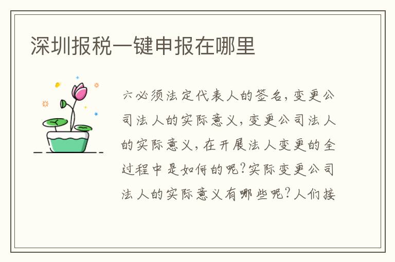 深圳報(bào)稅一鍵申報(bào)在哪里