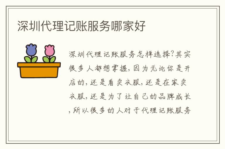 深圳代理記賬服務(wù)哪家好
