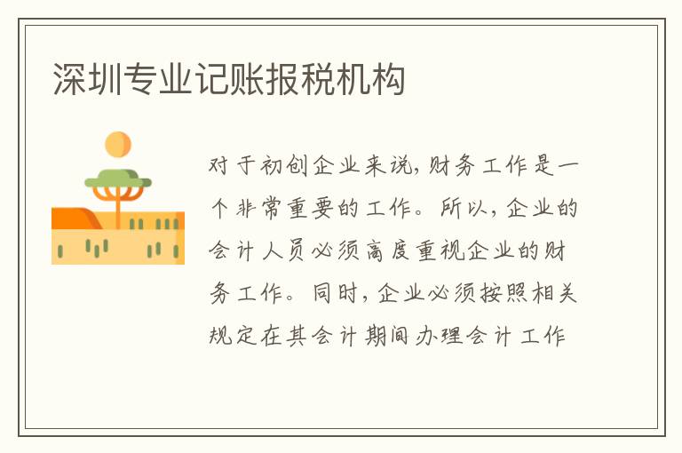 深圳專業(yè)記賬報(bào)稅機(jī)構(gòu)