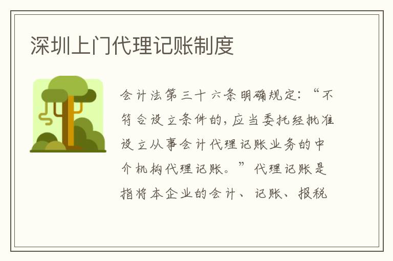 深圳上門代理記賬制度