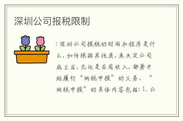 深圳公司報(bào)稅限制
