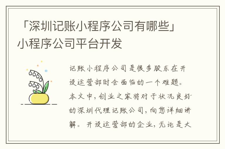 「深圳記賬小程序公司有哪些」小程序公司平臺開發(fā)