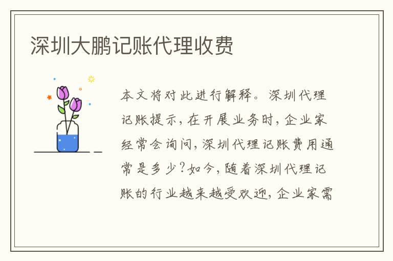 深圳大鵬記賬代理收費(fèi)