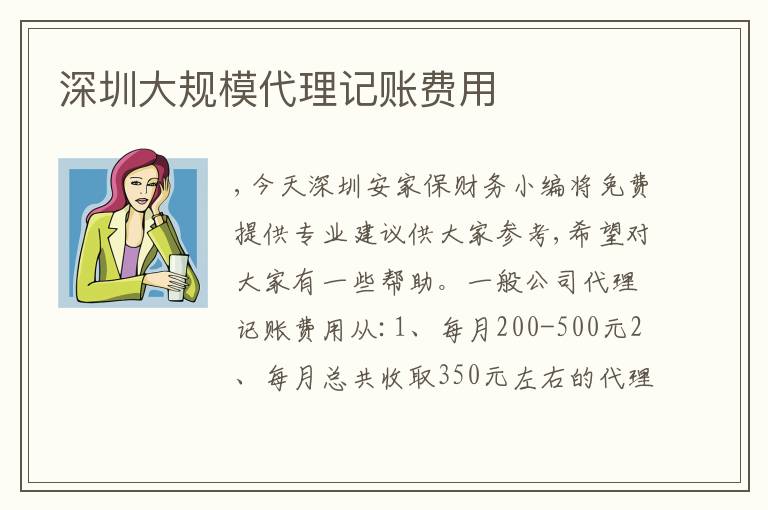 深圳大規(guī)模代理記賬費用