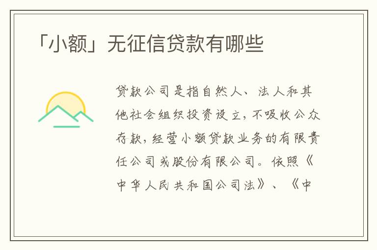 「小額」無征信貸款有哪些