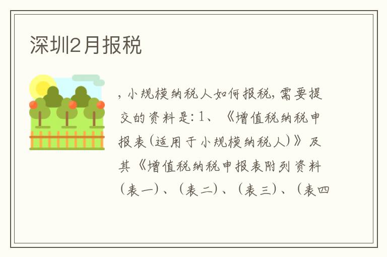 深圳2月報(bào)稅