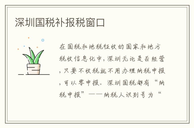 深圳國稅補(bǔ)報(bào)稅窗口