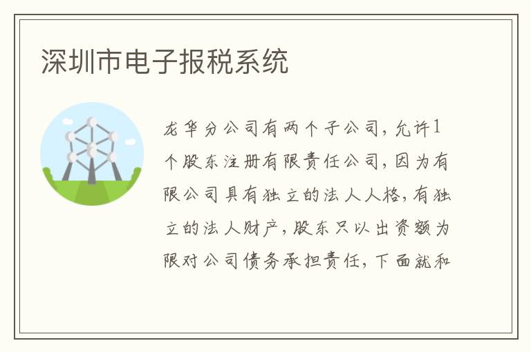深圳市電子報(bào)稅系統(tǒng)