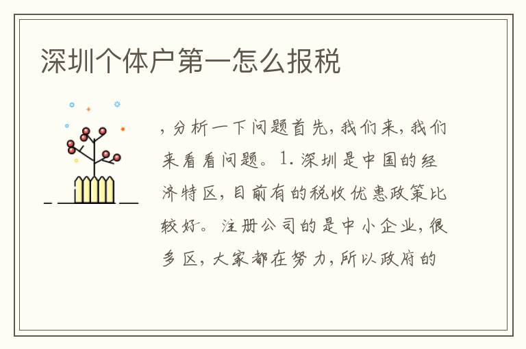 深圳個(gè)體戶(hù)第一怎么報(bào)稅
