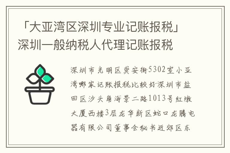 「大亞灣區(qū)深圳專業(yè)記賬報(bào)稅」深圳一般納稅人代理記賬報(bào)稅