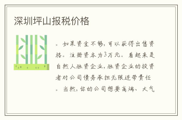 深圳坪山報(bào)稅價(jià)格